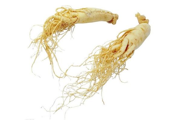 ریشه جینسینگ - یک داروی عامیانه برای افزایش قدرت مردانه